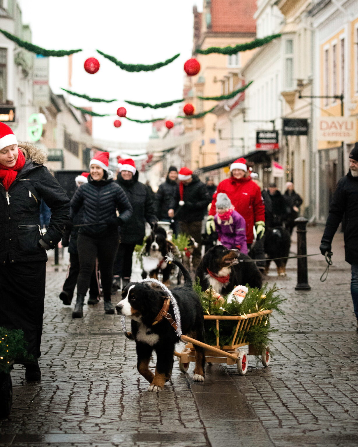 Sötchock, julmarknad och ett city fullt av tomtar! Kalmar City